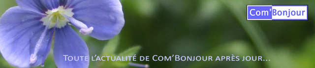 Jour après jour...