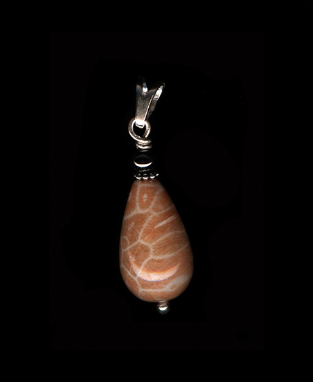 Pendentif Corail Fossile et Argent