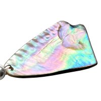 Pendentif Nacre et Argent