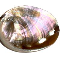 Pendentif Nacre et Argent