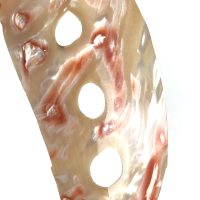 Pendentif Nacre, Corail et Argent