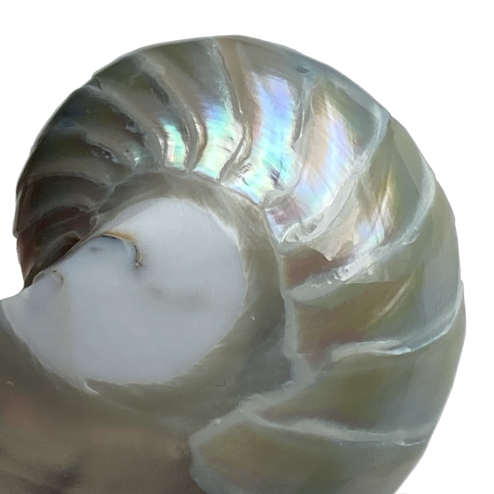 Pendentif Nacre, Perle d'eau douce et Argent